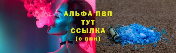 Альфа ПВП Няндома