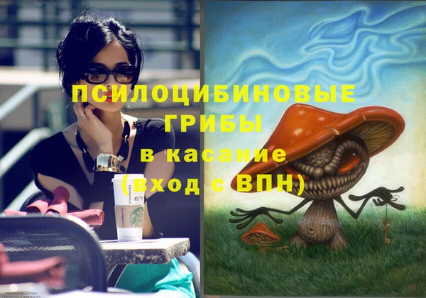 Альфа ПВП Няндома