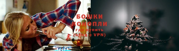 Альфа ПВП Няндома