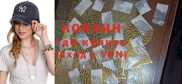 шишки Нягань