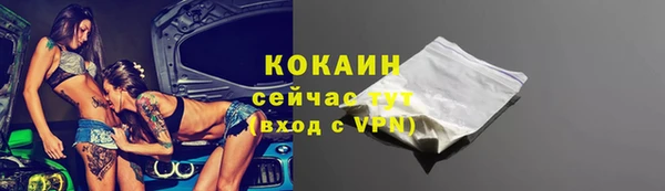 Альфа ПВП Няндома