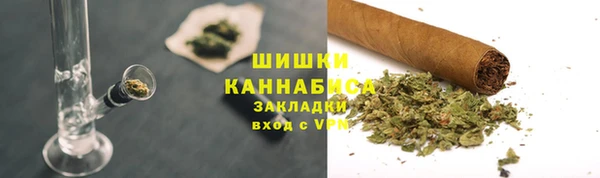 шишки Нягань