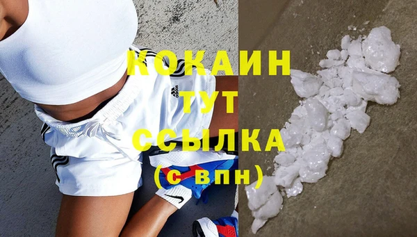 Альфа ПВП Няндома