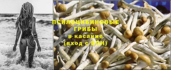 Альфа ПВП Няндома