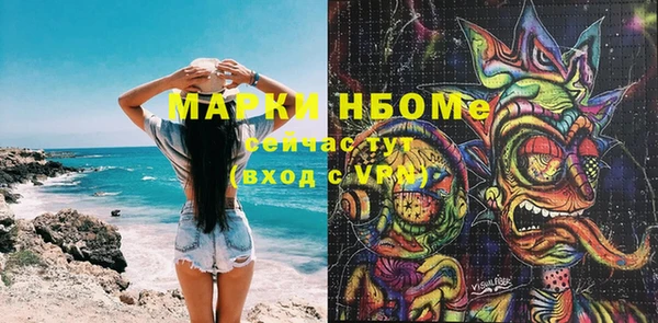 Альфа ПВП Няндома
