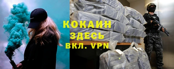 шишки Нягань